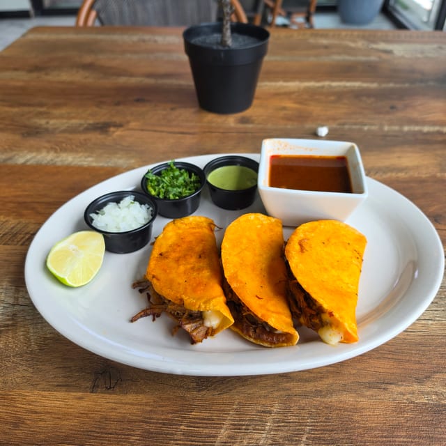 Queso Birria Tacos.